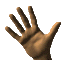 manociao.gif (14212 byte)