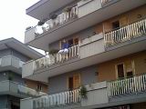 Clicca per ingrandire terremoto25.jpg di kb 63